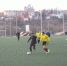 elets_2016_kubok_goroda_po_midi_futbolu_11 - Allelets.Ru