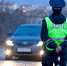 ДПС - Allelets.Ru