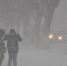 Метель - Allelets.Ru