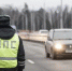 ДПС - Allelets.Ru