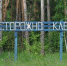 Жители региона все чаще обращаются к врачам по поводу укусов клещей - Елецкая ГДБ