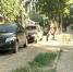 В Липецкой области в 2, 5 раза выросло количество роскошных автомобилей - ТРК Елец