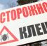 Активность клещей снизилась в регионе - ТРК Елец