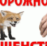 Внимание! - Елецкий муниципальный район