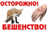 Внимание!
