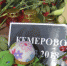 В Ельце состоялся митинг памяти - ТРК Елец