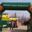 Областная ярмарка в с.Каменское - Елецкий муниципальный район