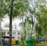 Стартовала летняя оздоровительная кампания - ТРК Елец