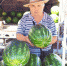 К НАМ ПРИЕХАЛИ С БАХЧИ… - Газета В краю родном