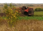Агроновости