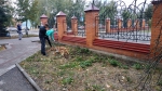 Общегородской субботник