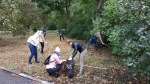 Общегородской субботник