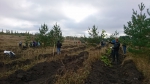 Общегородской субботник