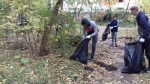 Общегородской субботник