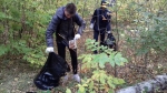 Общегородской субботник