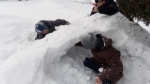 «Снежный бастион»