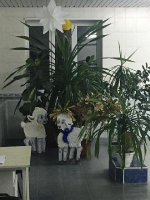 Новость
