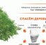 Эко-марафон ПЕРЕРАБОТКА «Сдай макулатуру - спаси дерево» - Allelets.Ru