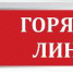 О старте Всероссийской горячей линии по профилактике гриппа и ОРВИ - Елецкая ГДБ