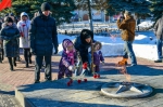 _DSC4585