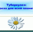 РОДИТЕЛЯМ О ТУБЕРКУЛЕЗЕ - Елецкая ГДБ