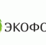 О проведении VIII областного Детского экологического форума - Елецкий муниципальный район