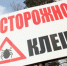 В Липецкой области от клещей обработали 44 парка - ТРК Елец