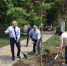 В сквере Харченко высадили саженцы клёна и липы - Allelets.Ru