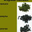 формы насвая.jpg - Елецкая ГДБ