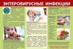 энтеровирус.jpg