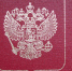 В Липецкой области стало больше невыездных должников - ТРК Елец