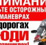 Итоги профилактического мероприятия - Елецкий муниципальный район