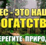 Экологические даты - Елецкий муниципальный район