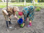 ГДЕ БЫЛ ПУСТЫРЬ — ТЕПЕРЬ РОЗАРИЙ