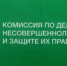 Проведено заседание муниципальной комиссии - Елецкий муниципальный район