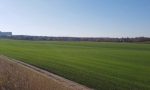 Урожай  –  2019
