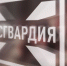 В регионе возбуждено 13 уголовных дел за незаконное хранение оружия - ТРК Елец