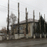 У мясокомбината появилась аллея голых стручков - Allelets.Ru
