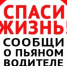 "Сообщи в ГИБДД о пьяном водителе  за рулем!" - Елецкий муниципальный район