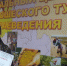 Ученица школы из с. Лавы стала победителем Всероссийского конкурса на знание государственных символов - Елецкий муниципальный район