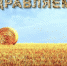 Честь и хвала – труженикам села! - Елецкий муниципальный район