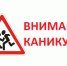 Итоги профилактического мероприятия «Внимание-Каникулы!» - Елецкий муниципальный район