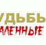 Историко-культурный фестиваль "Моя история. Моя Россия" переходит в цифровой формат - ЕГУ им. И.А. Бунина