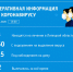 Сводка по коронавирусу в Липецкой области на 15 апреля - Allelets.Ru