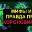 Рекомендации ВОЗ для населения в связи c распространением нового коронавируса (2019-nCoV): мифы и ложные представления - Елецкая ГДБ