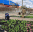 WhatsApp Image 2020-04-28 at 16.06.30 (1) - Администрация г. Елец