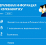 Сводка по коронавирусу в Липецкой области на 4 мая 2020 г. - Allelets.Ru