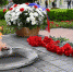 DSC_1090 - Администрация г. Елец