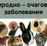 Наступает пора природно-очаговых заболеваний - Елецкая ГДБ