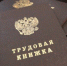 Минтруд разработал особый порядок увольнения при пандемии - ТРК Елец
